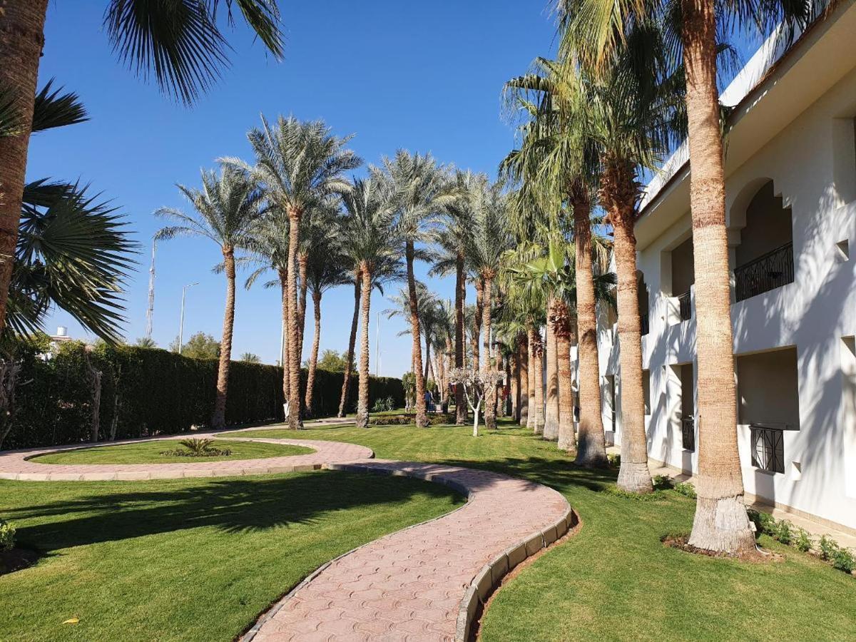 Xperience St. George Sheikh Resort