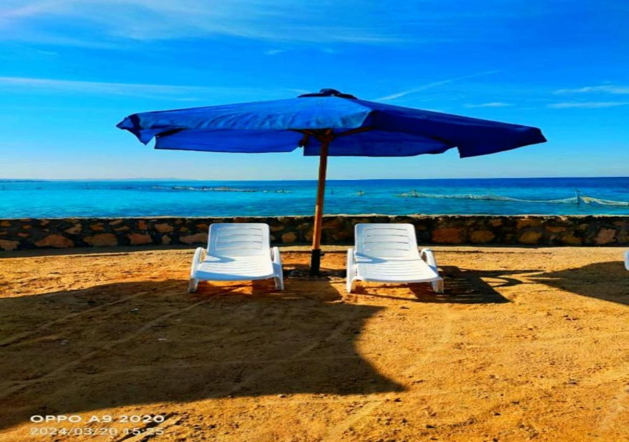 Davinci Beach Family 3* Hurghada