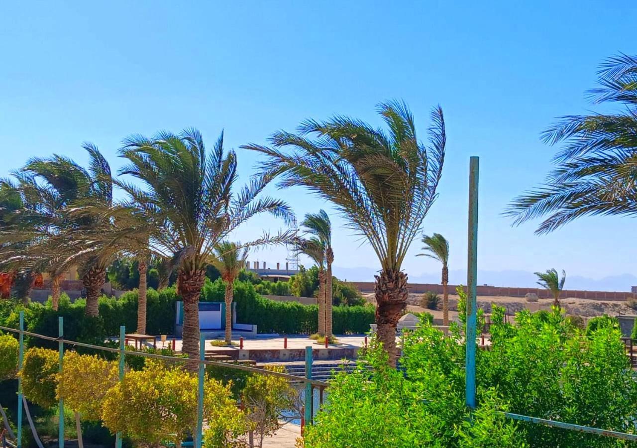 Davinci Beach Family Hotel 3*