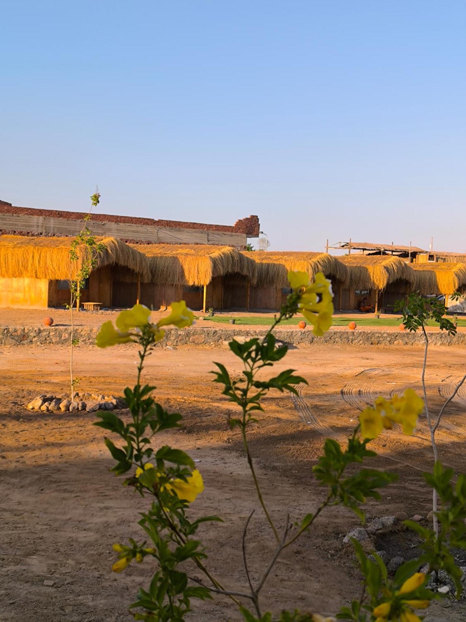 Sea Side Camp * Nuweiba