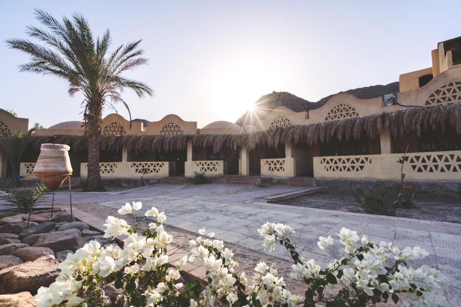 Aqua Sun Otel 3*