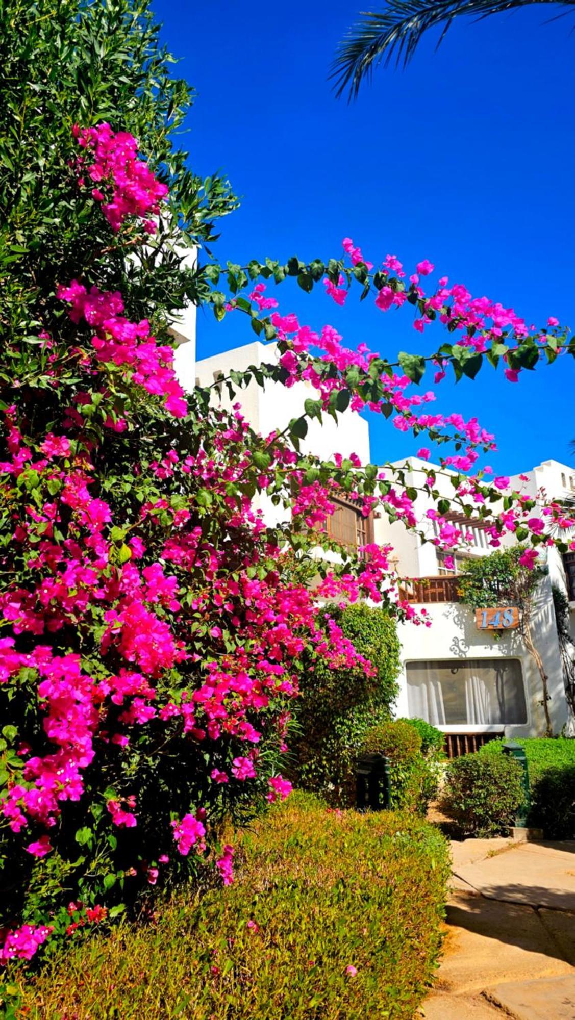 Apartament Blue Bay Delta *