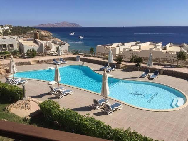 Otel Sharks Bay Oasis 4*
