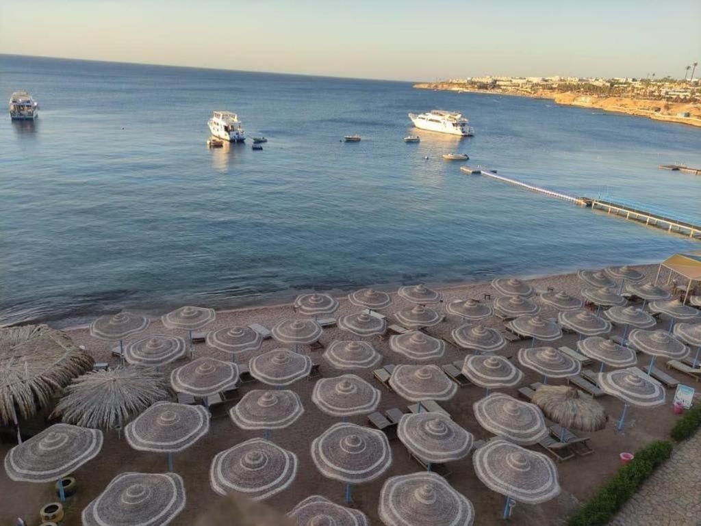 Sharks Bay Oasis Otel Şarm El-Şeyh