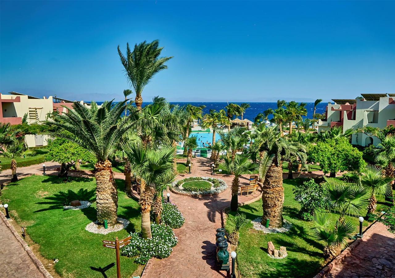 Tropitel Oasis 4* Dahab