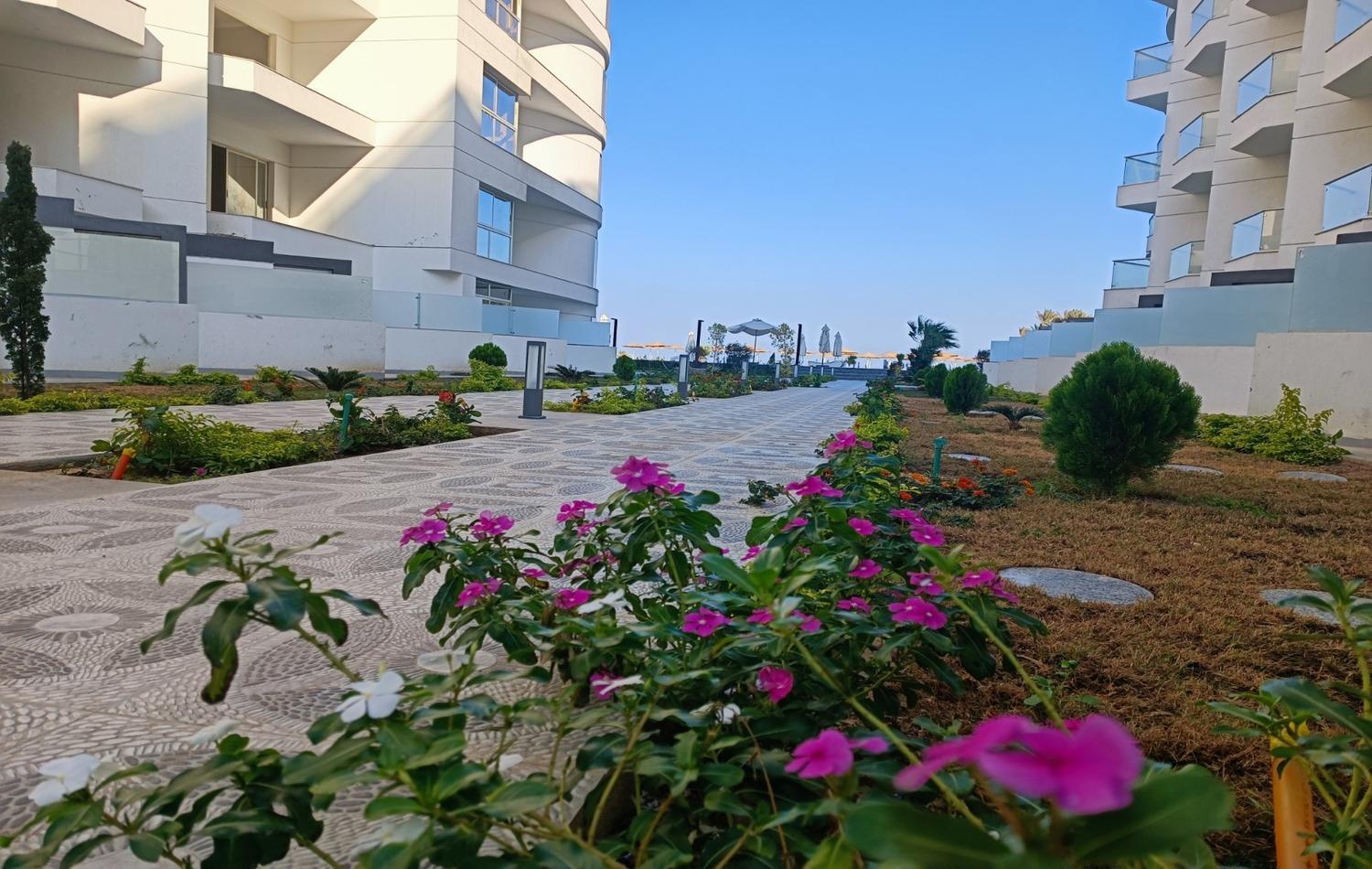 Seaview Steps From Downtown, Free Wifi Apartment