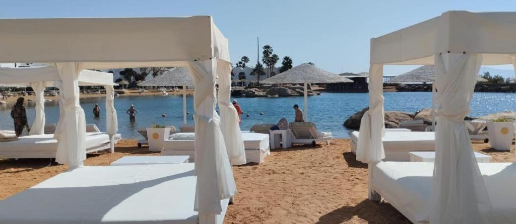Luxury At Domina Coral Bay & Casino * Sharm El-Sheikh