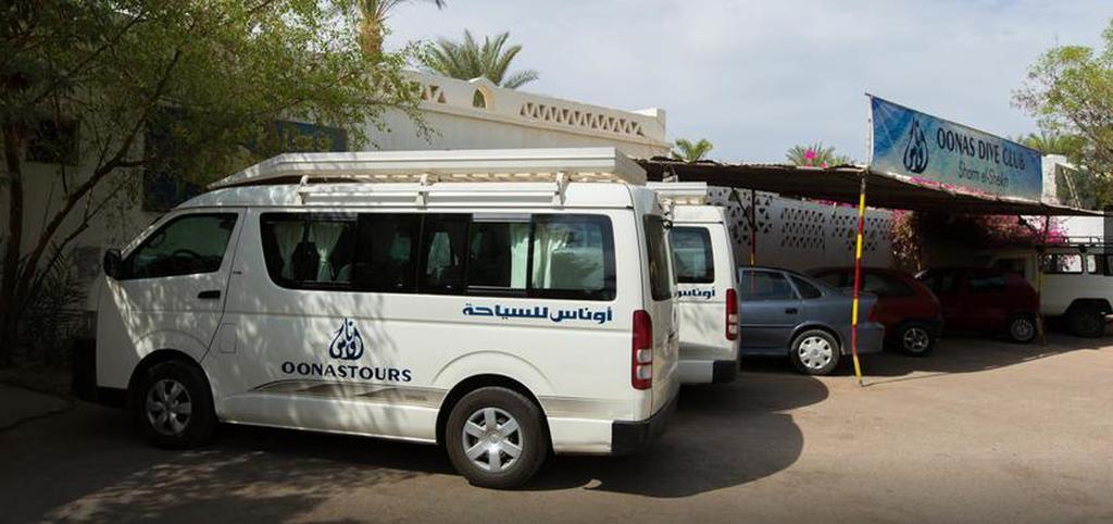 Complex Oonas Dive Club