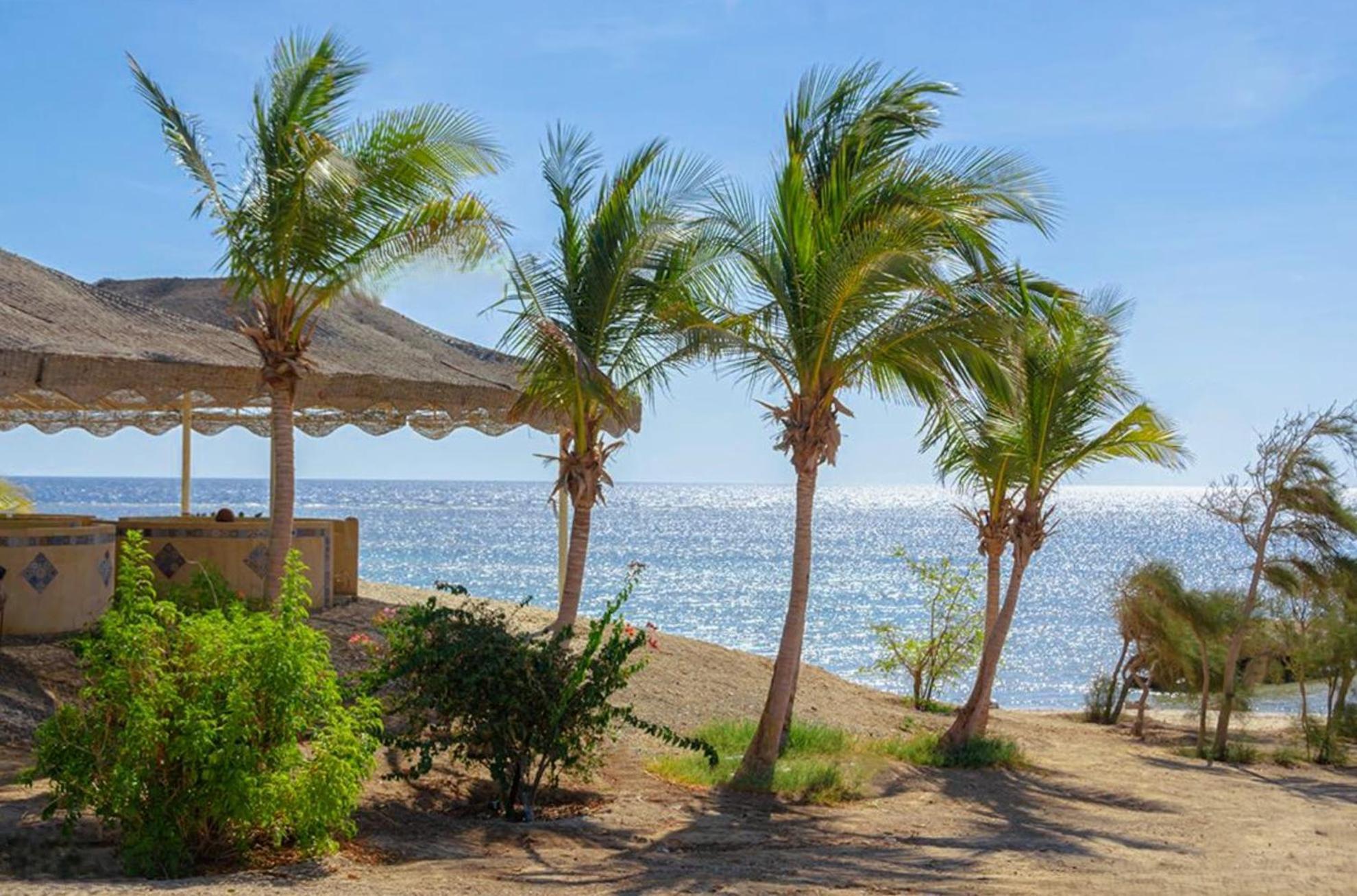 Mangrove Bay 3*