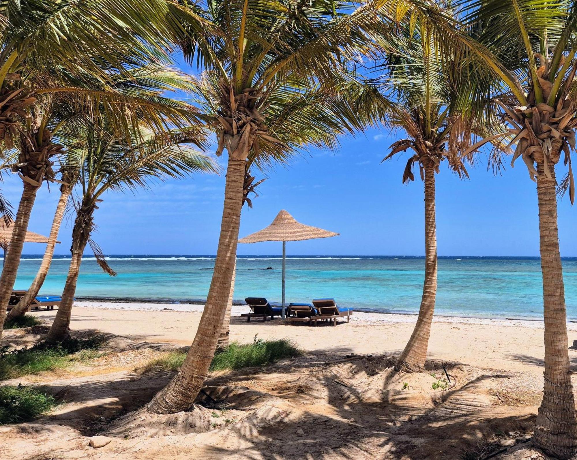 Mangrove Bay 3* El Qoseir