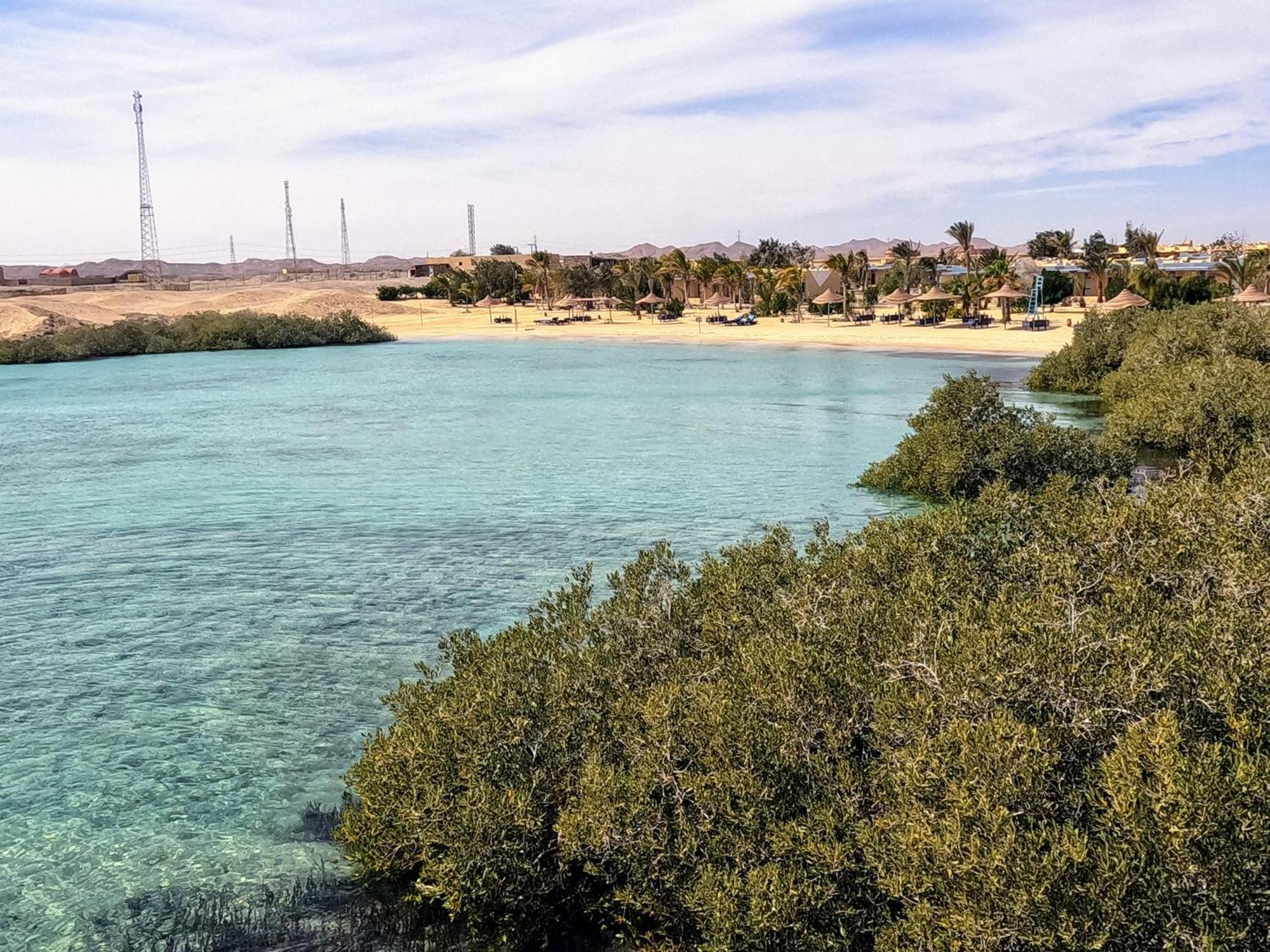Mangrove Bay El Qoseir