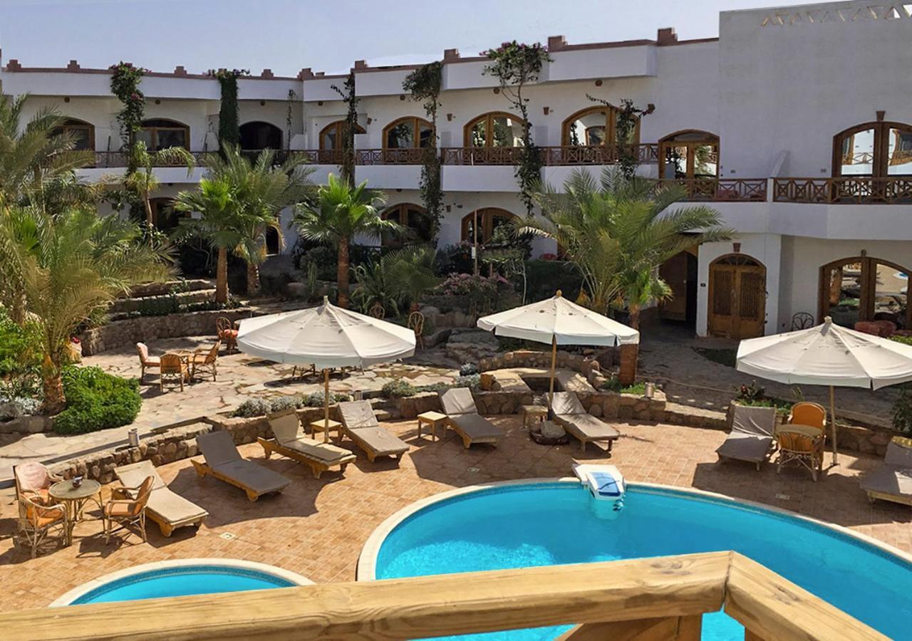 Hotel Red Sea Relax