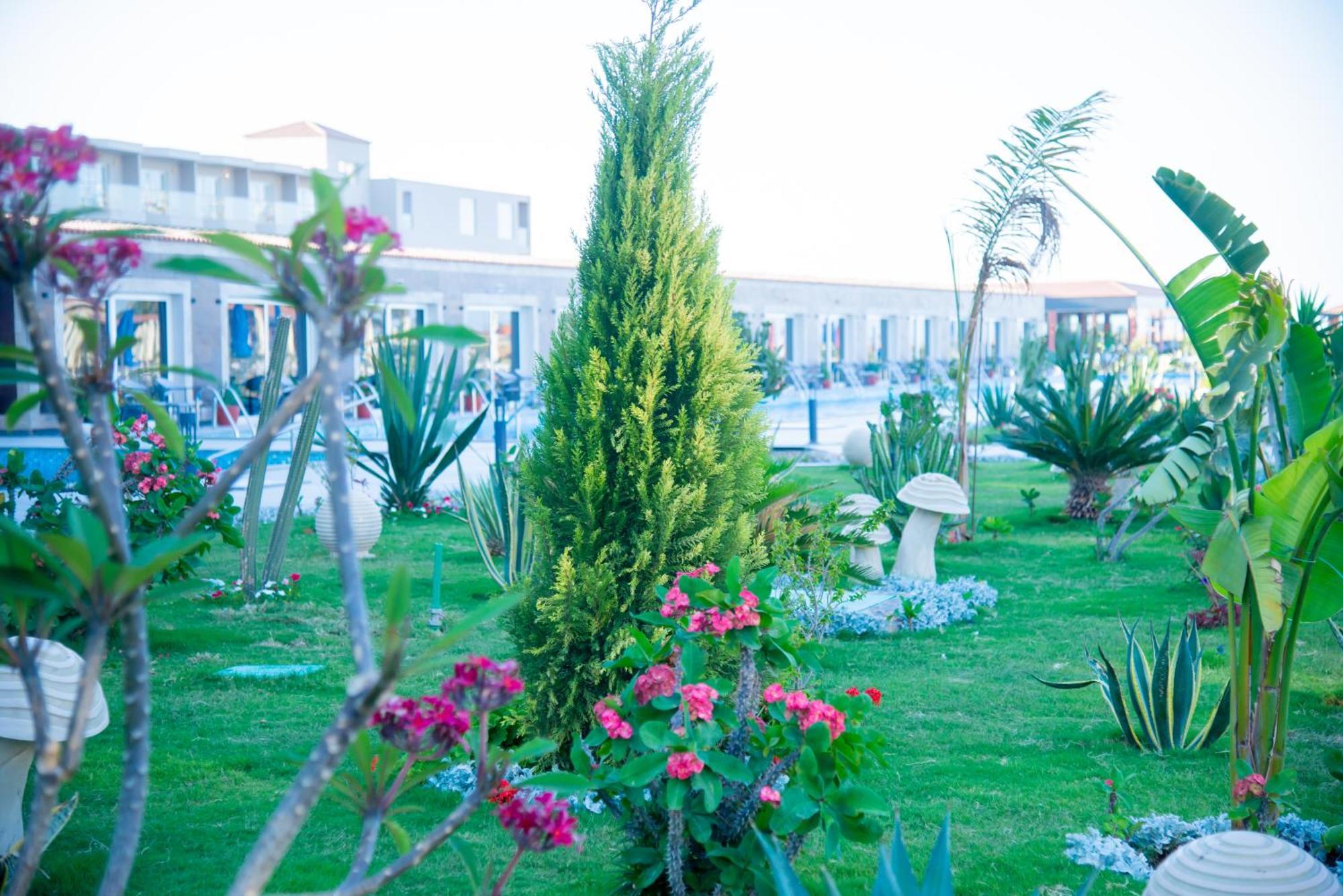 Rewaya Majestic Hurghada