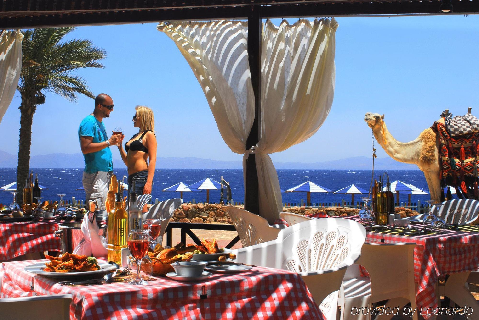 Tropitel Oasis Dahab