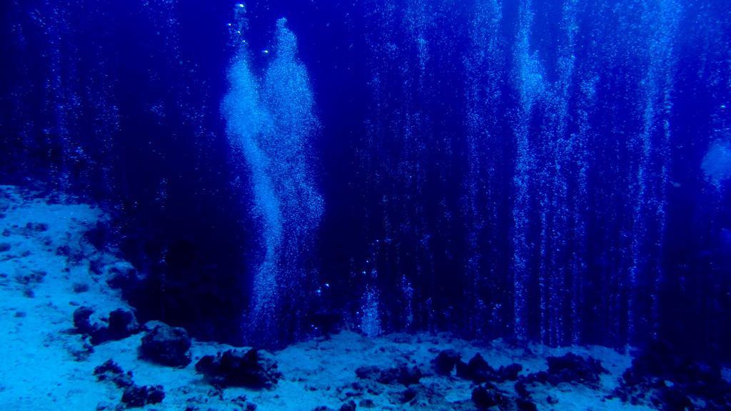 Deep Blue Divers
