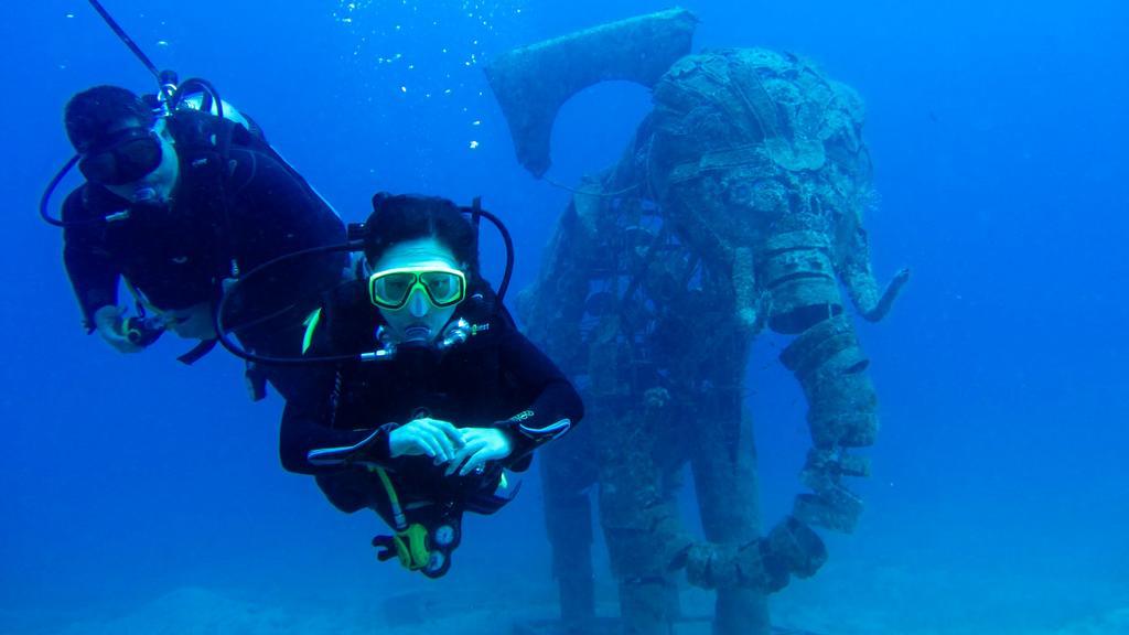 Deep Blue Divers Dahab