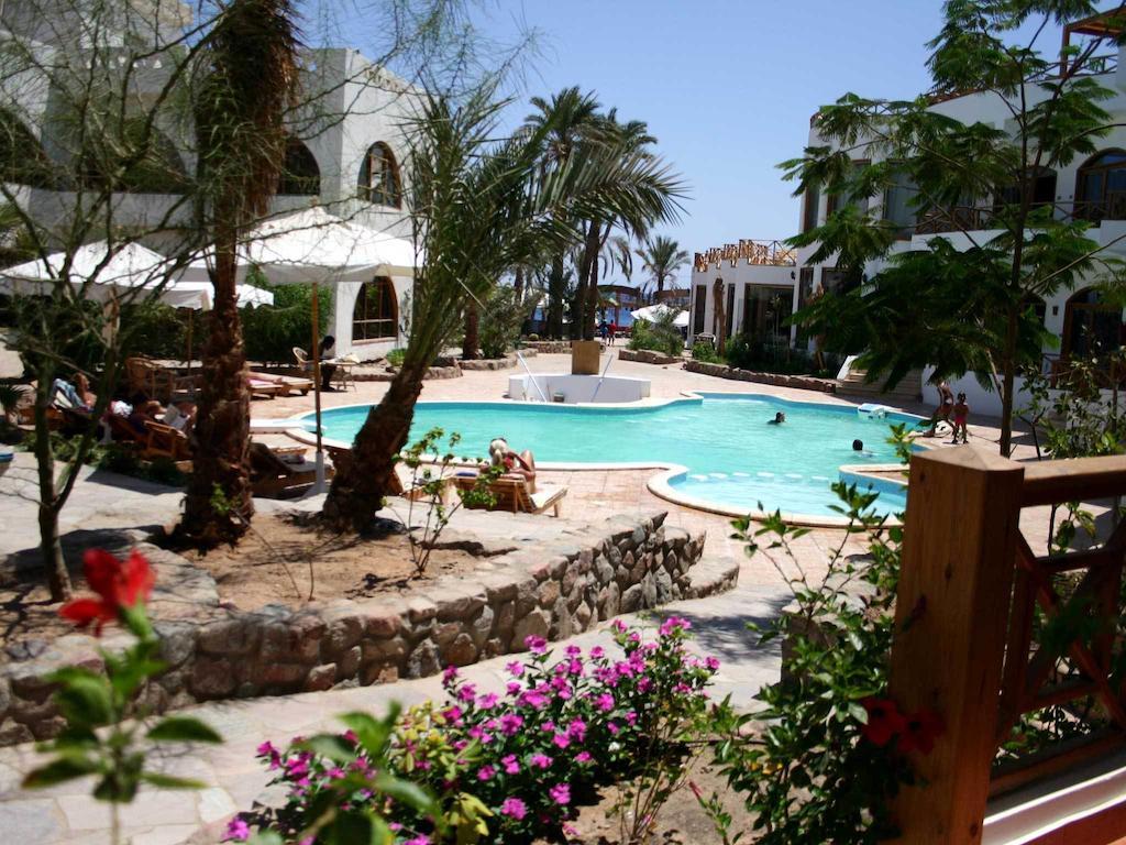 Planet Oasis Dahab