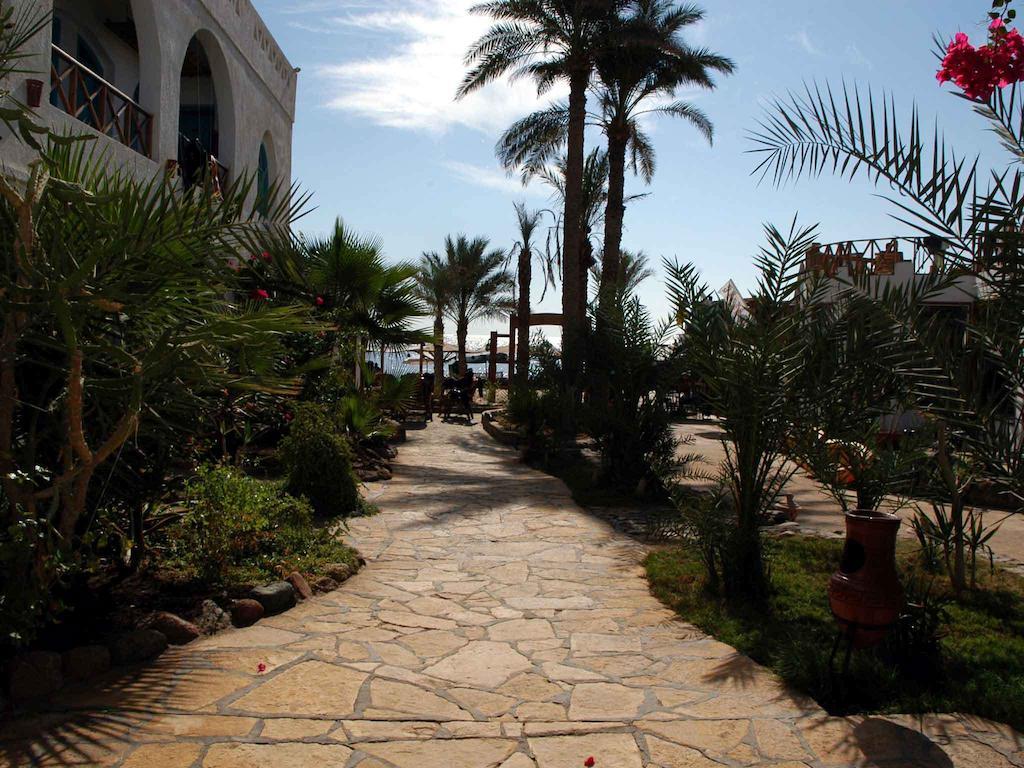 Resort Planet Oasis 3*