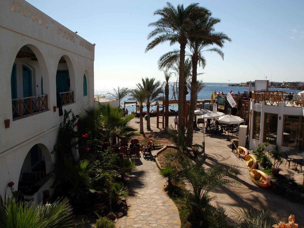 Planet Oasis Dahab