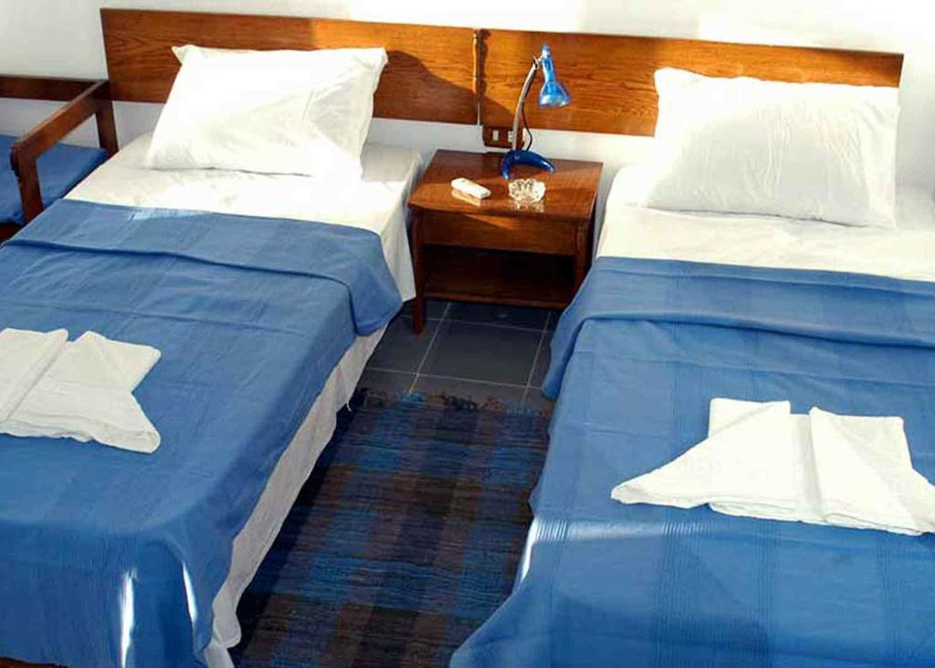Planet Oasis Dahab