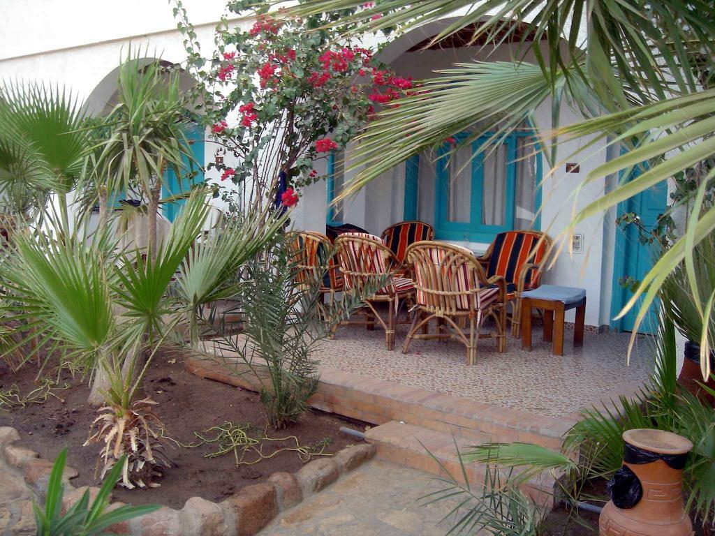 Resort Planet Oasis