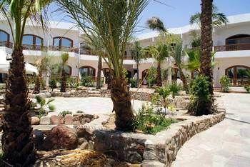 Planet Oasis