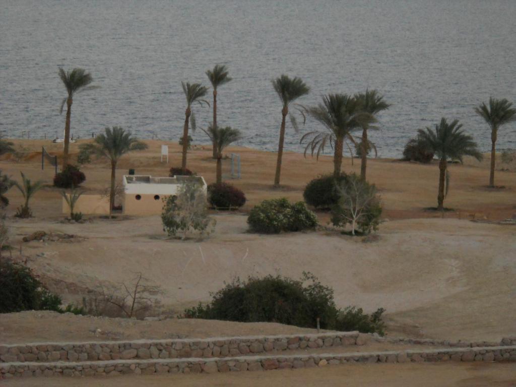 Hotel Royal Paradise Sharm El Sheikk