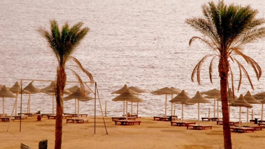 Hotel Royal Paradise Sharm El Sheikk