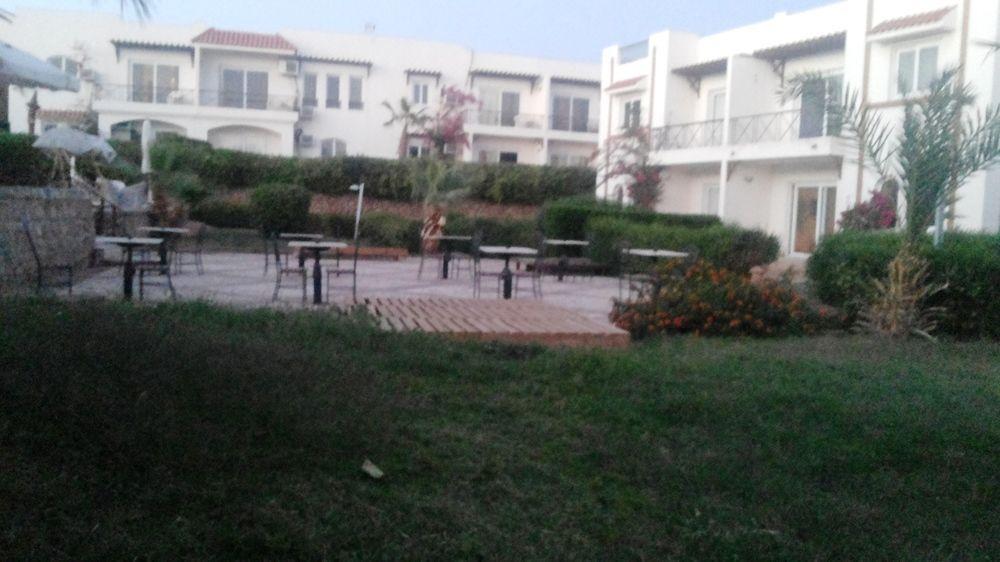 Logaina