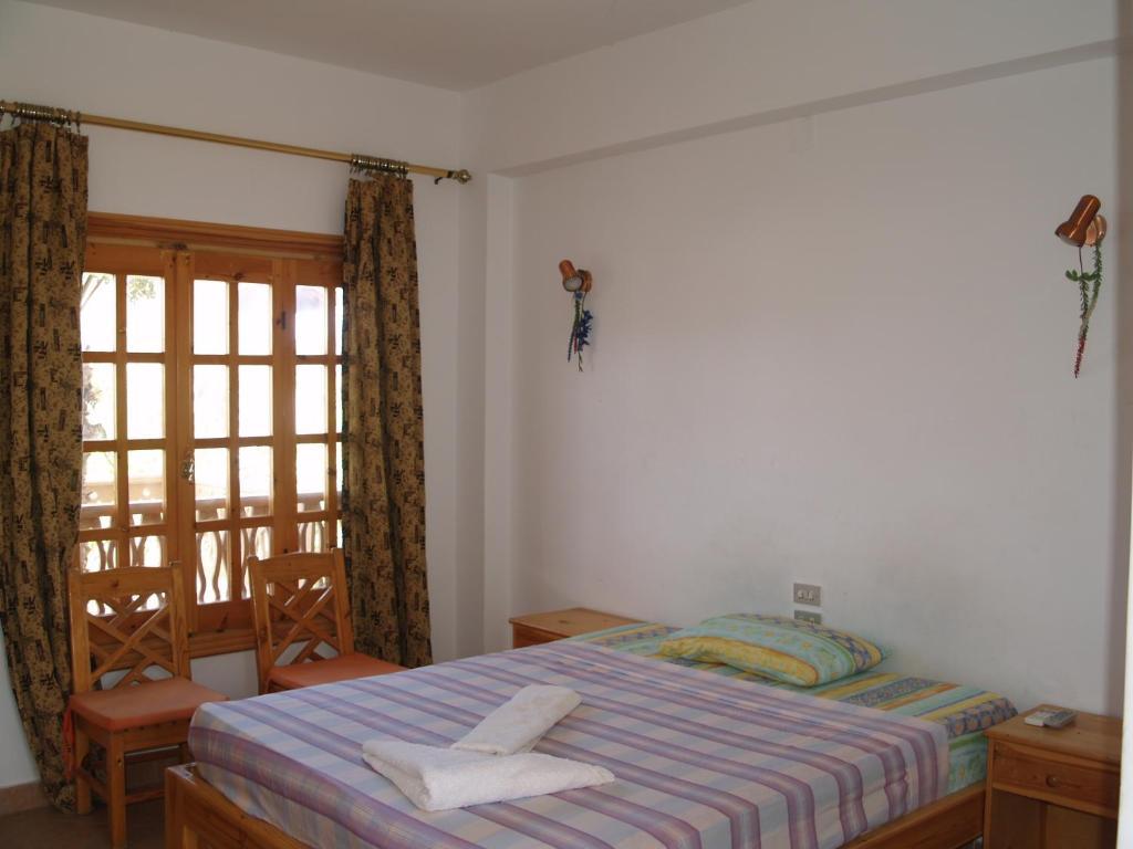 Hostel Star Of *