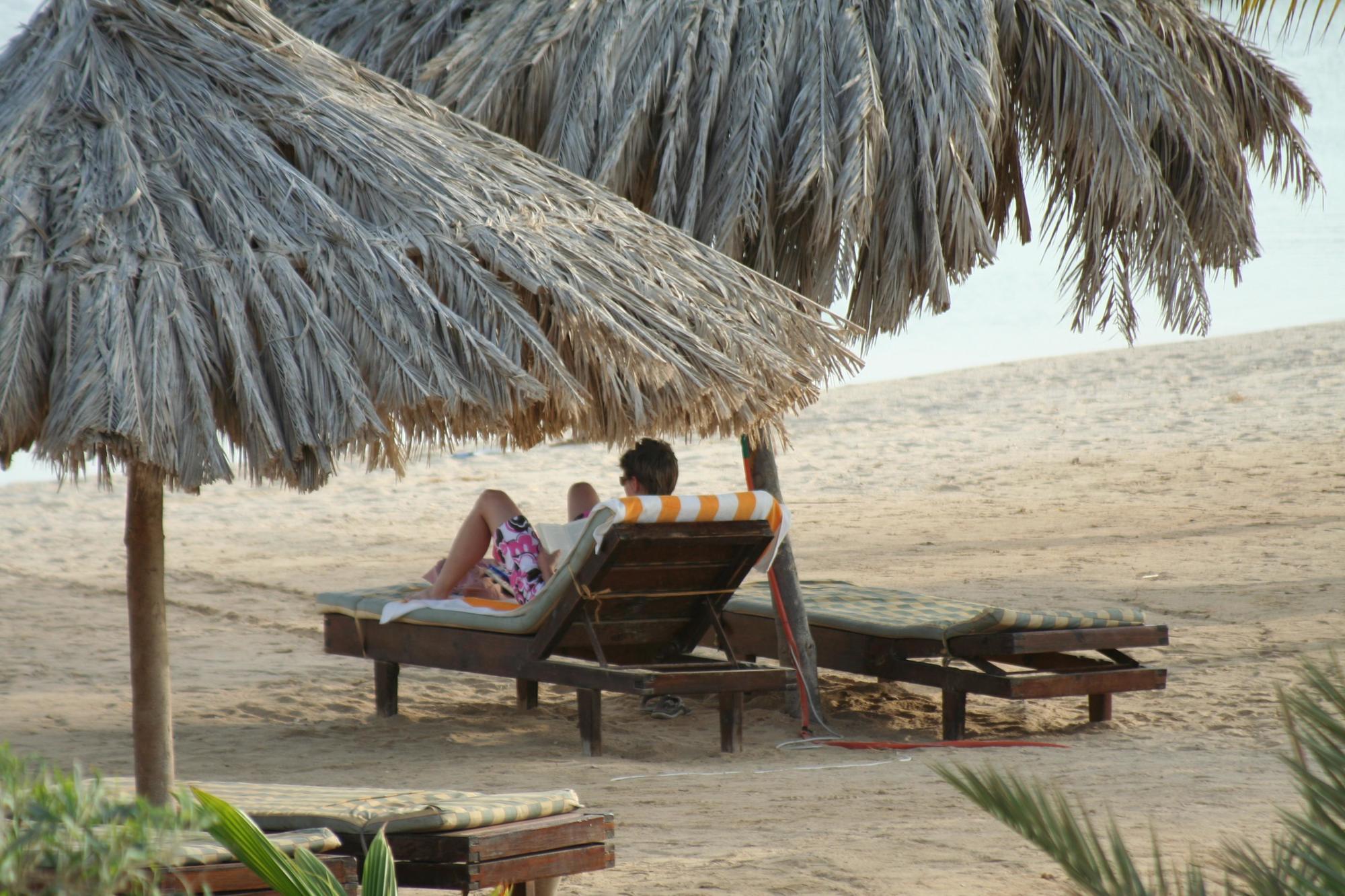Mangrove Bay