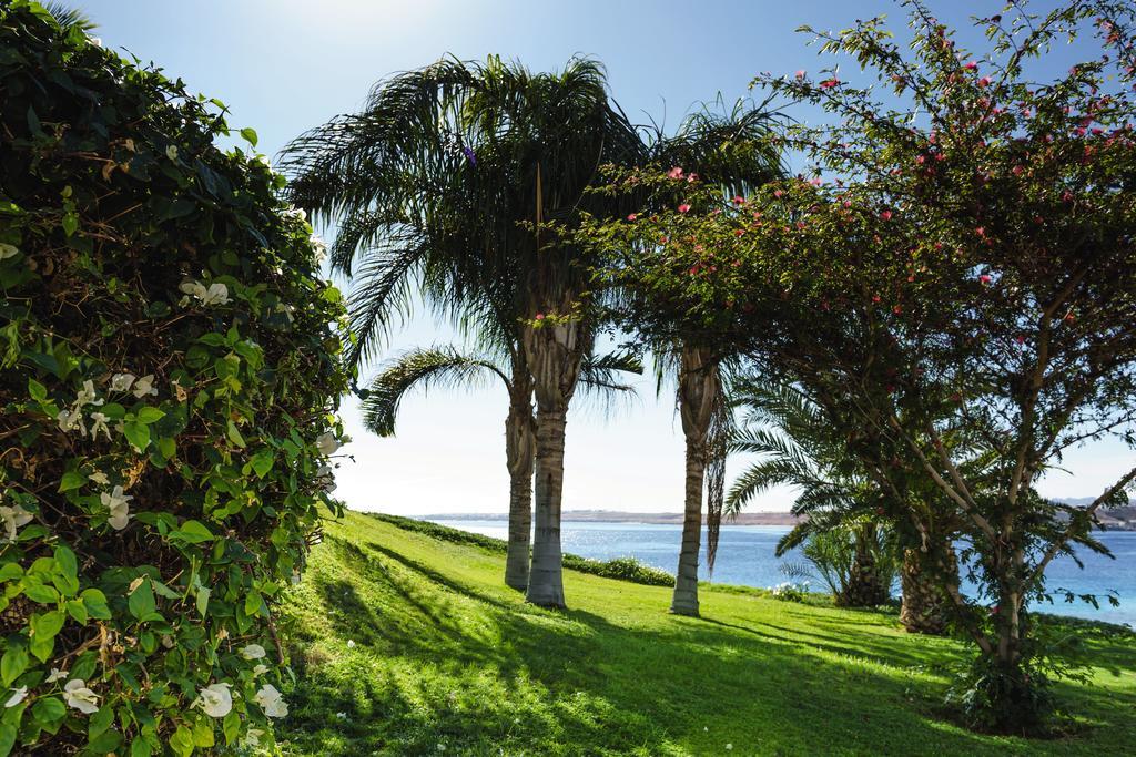Movenpick Sheikh 5*