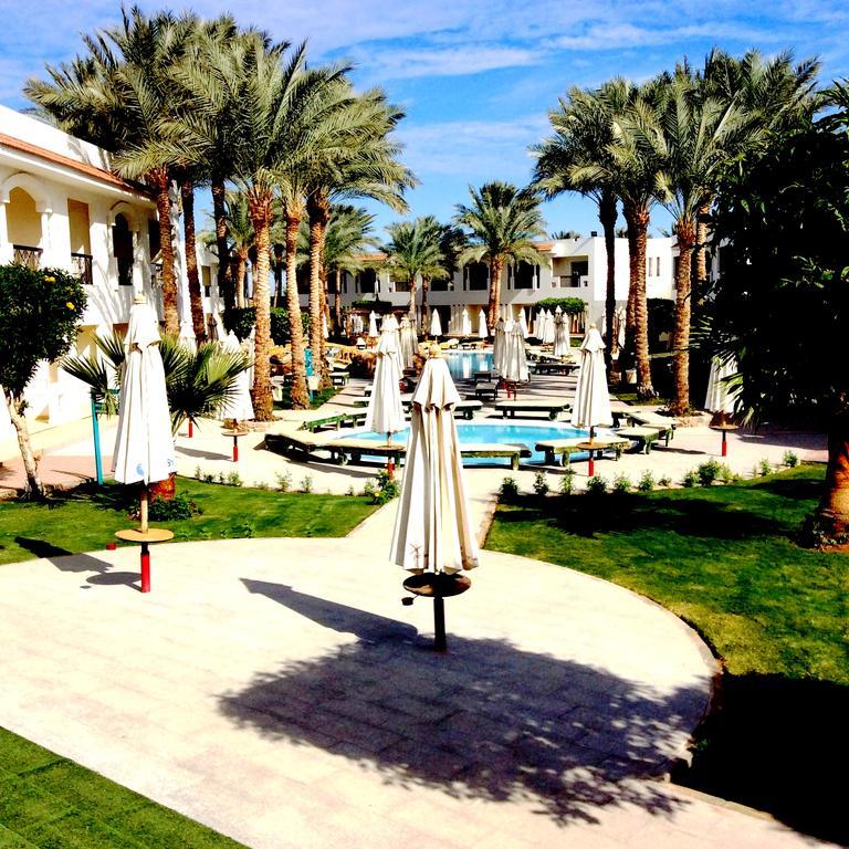 Resort Xperience St. George Sheikh 4*