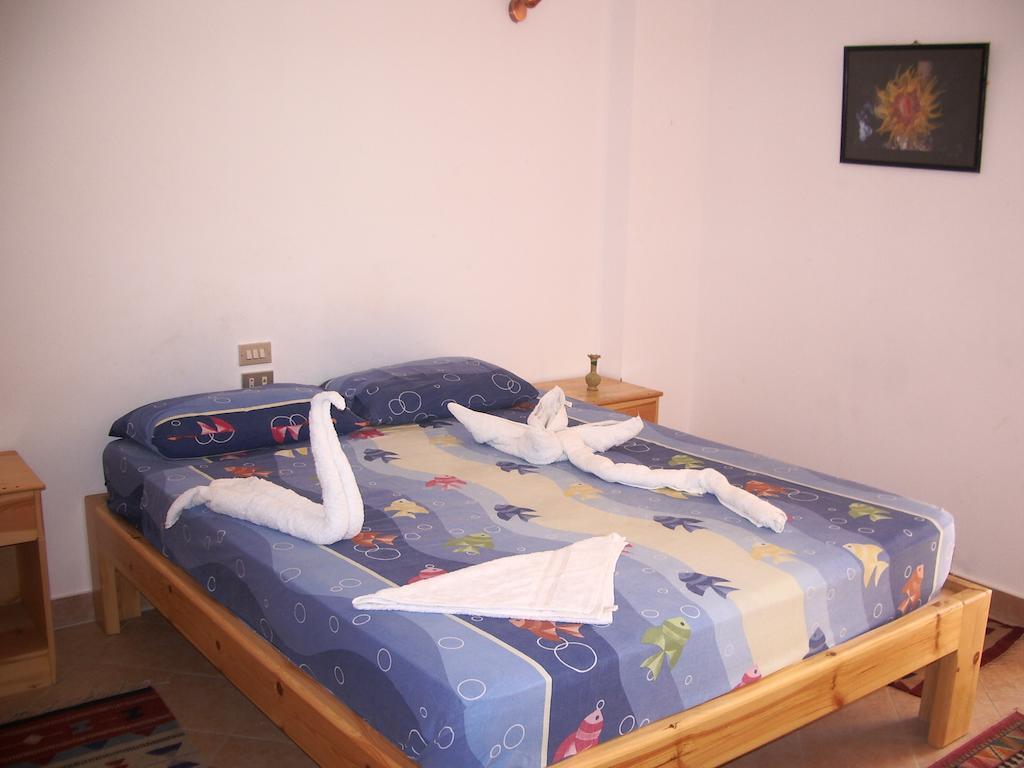 Star Of Hostel Dahab