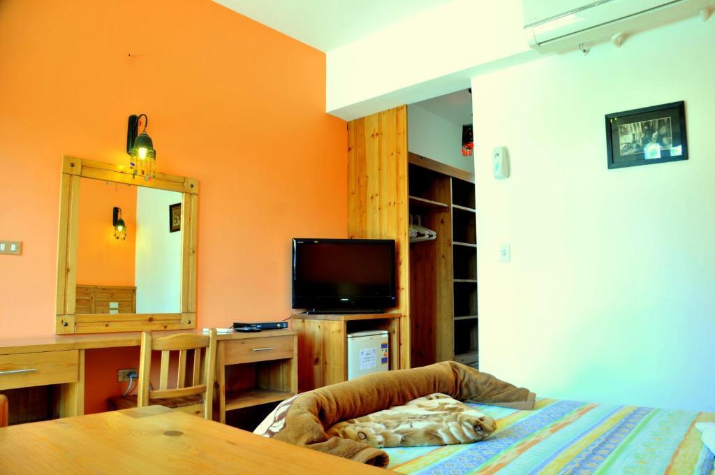Hostel Divers