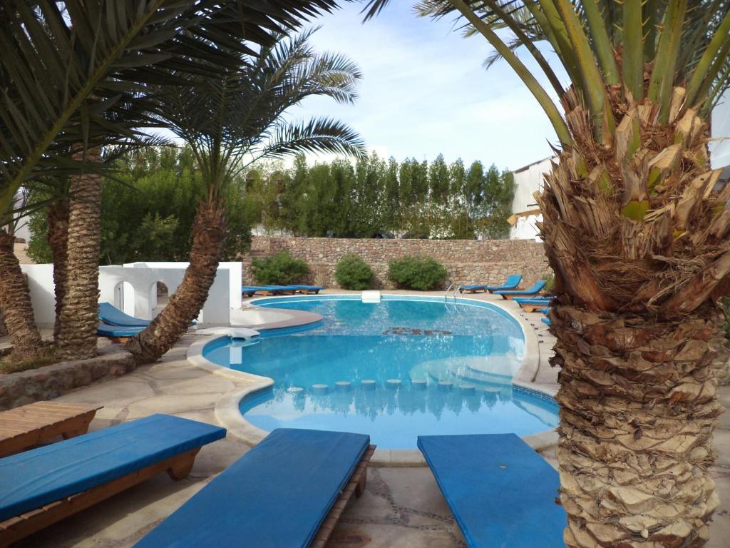 Divers * Dahab