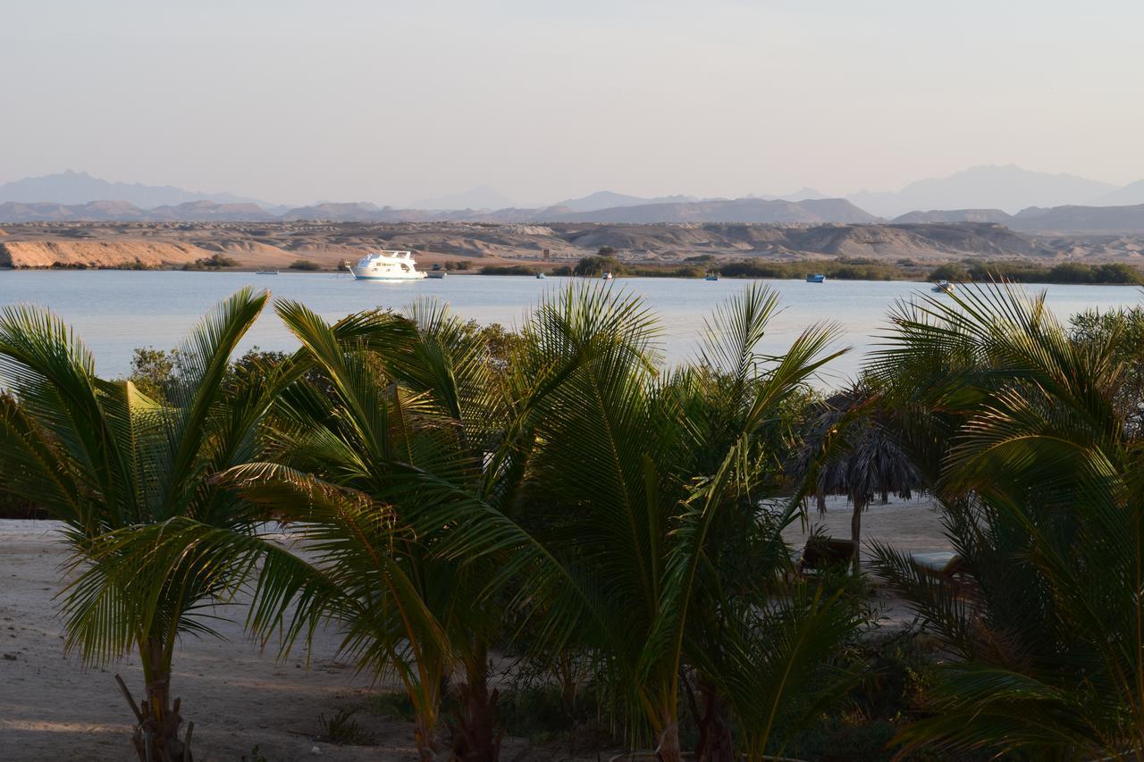 Mangrove Bay