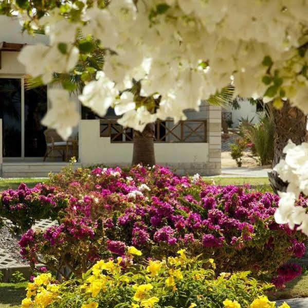 Coral Beach 4* Makadi Bay