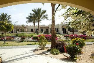 Coral Beach 4* Makadi Bay