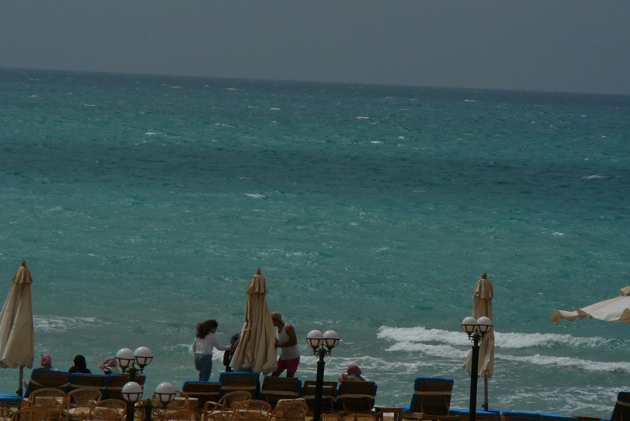 Resort Palm Safari Egypt