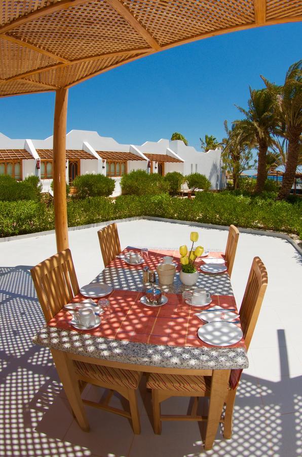 Orca Village Safaga
