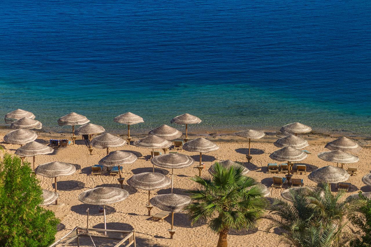 Resort Red Sea Taj Mahal And Aqua Park 5*