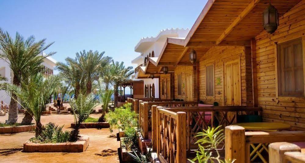 Hostel Shams & Dive Centre *