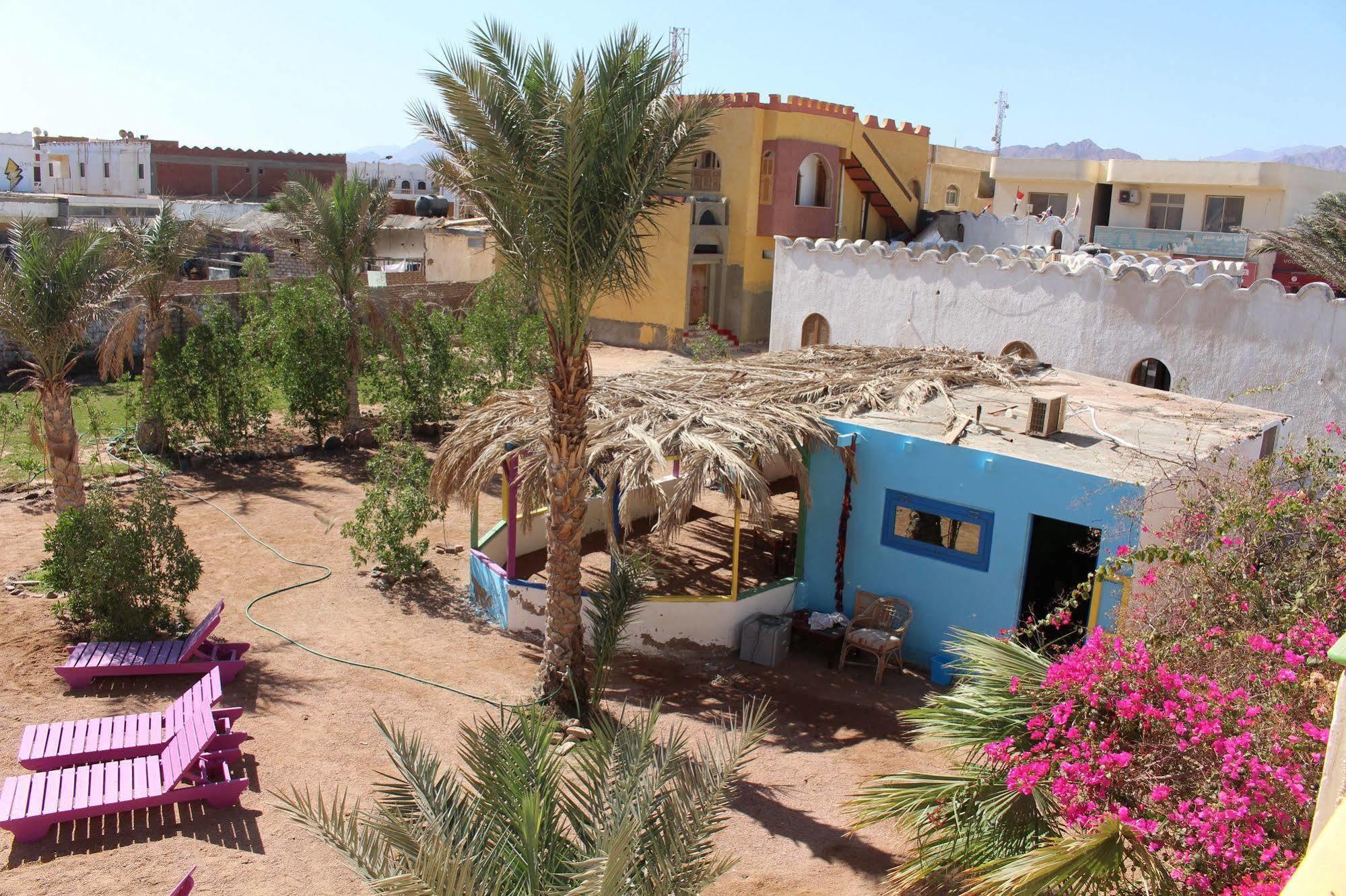 Divers Dahab