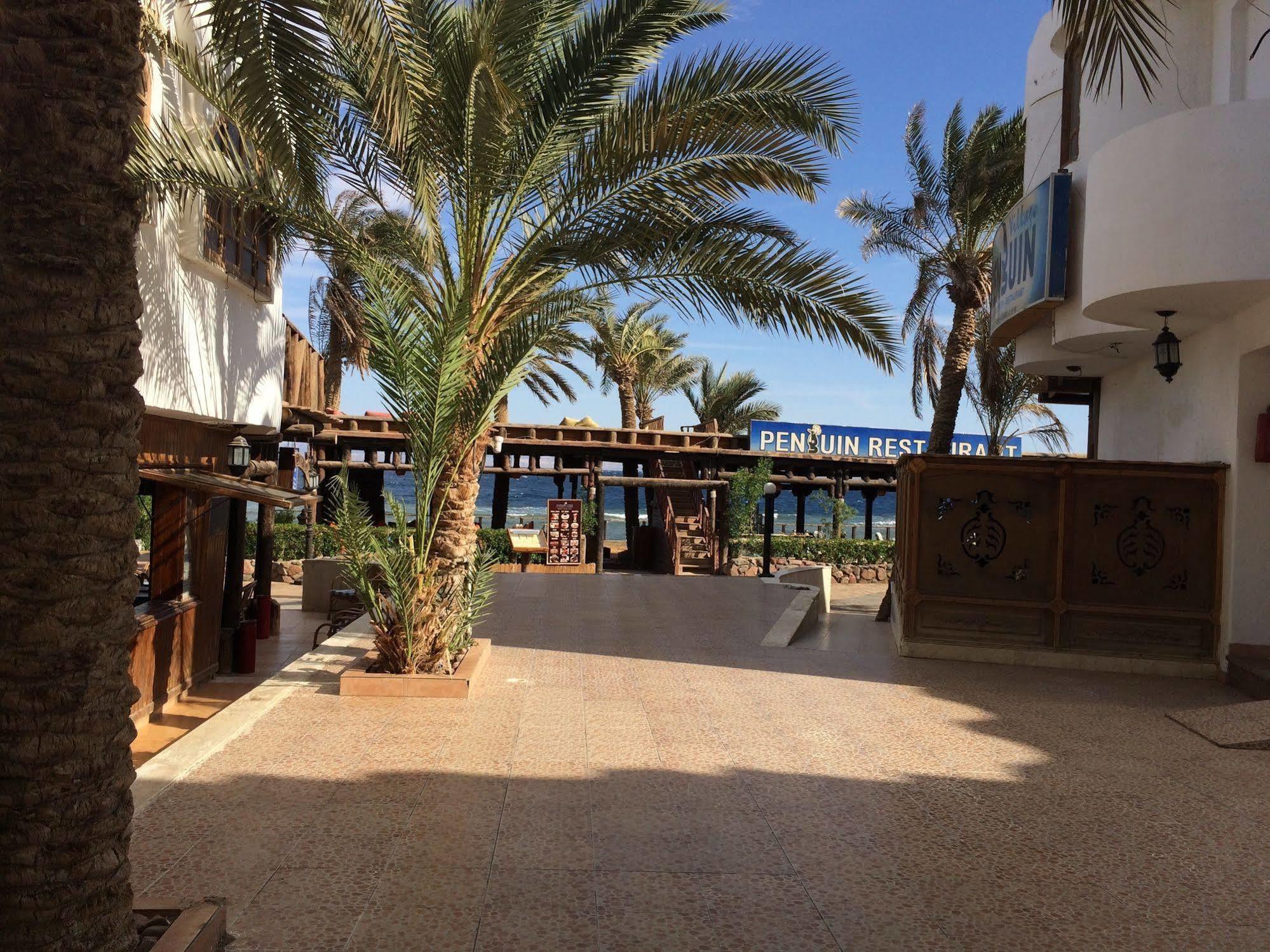 Penguin Village 3* Dahab