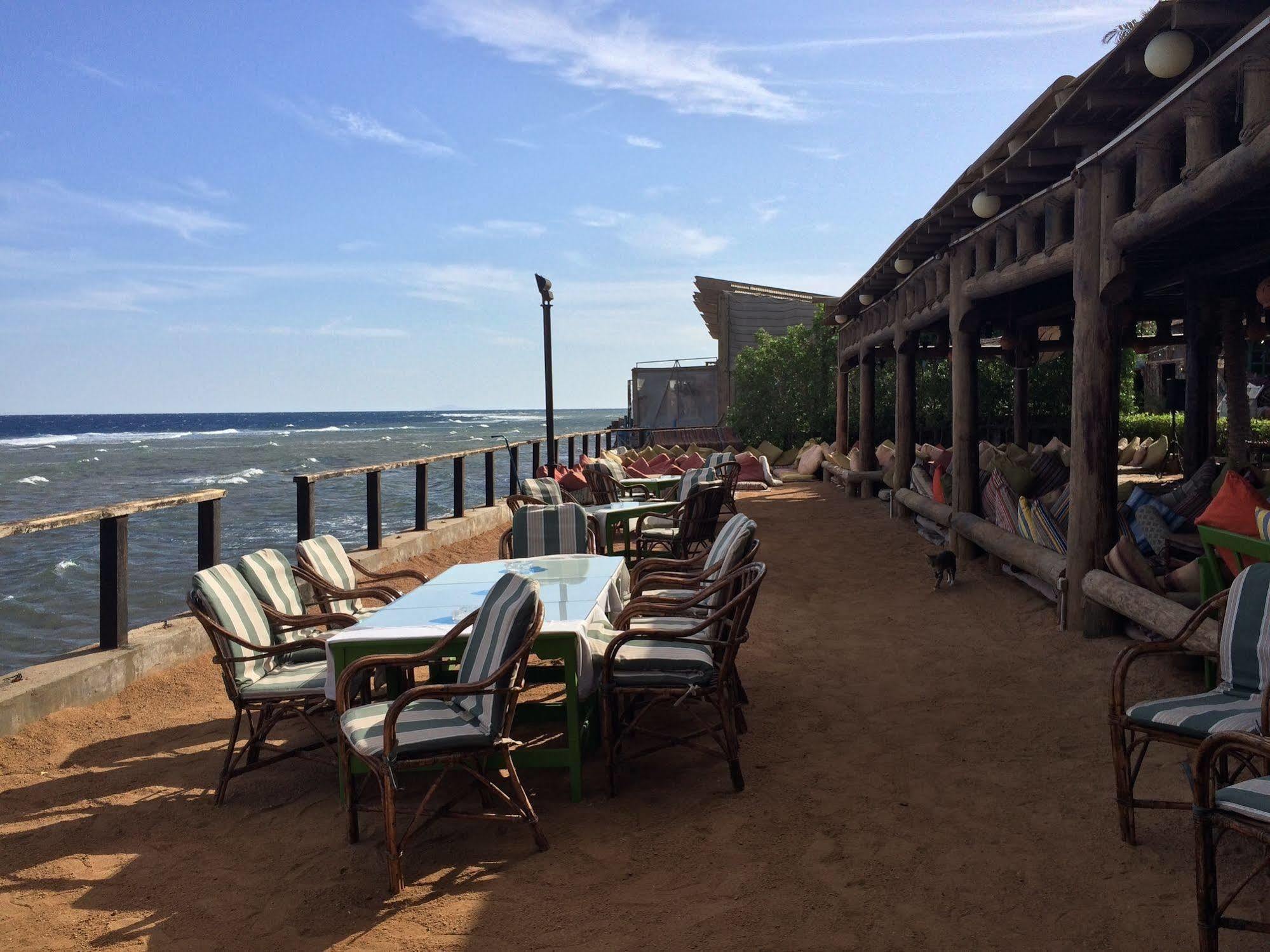 Hotel Penguin Village Dahab