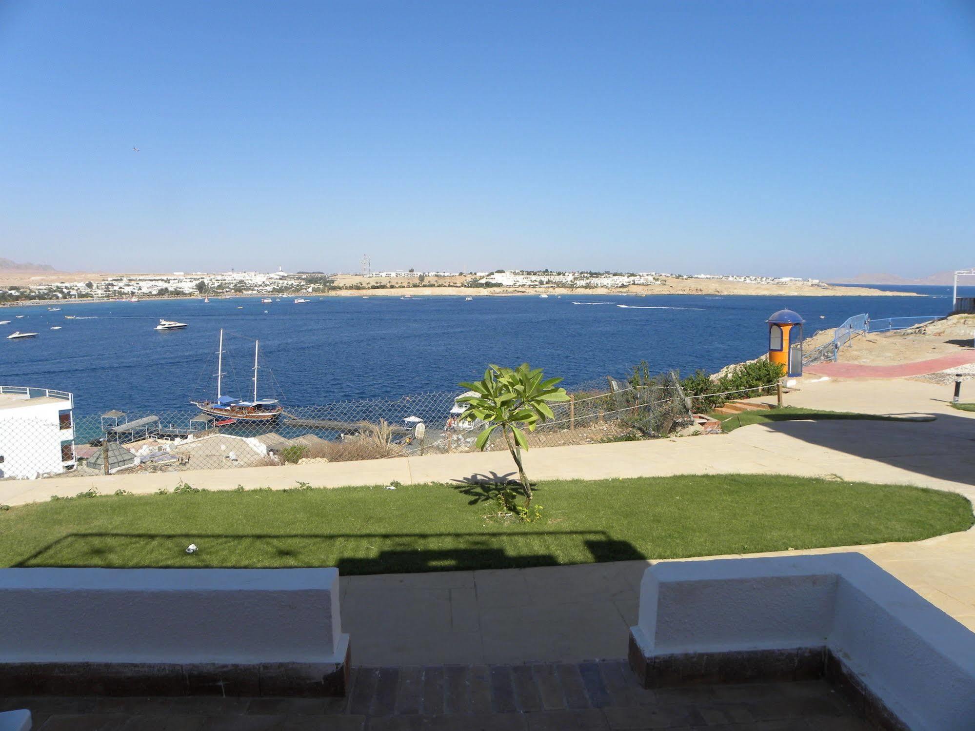 Hotel Grand Halomy