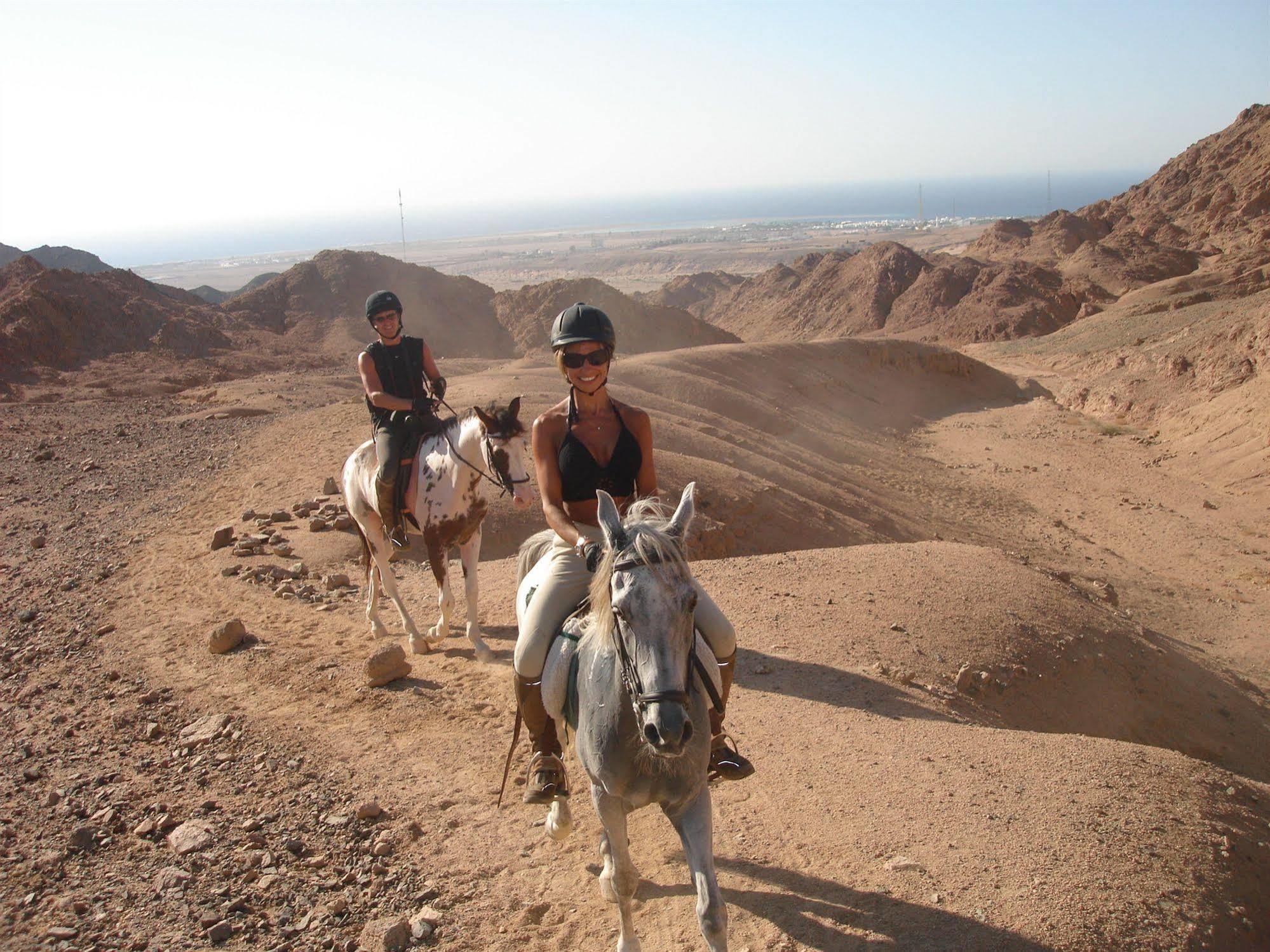 Blue Club Resort Dahab