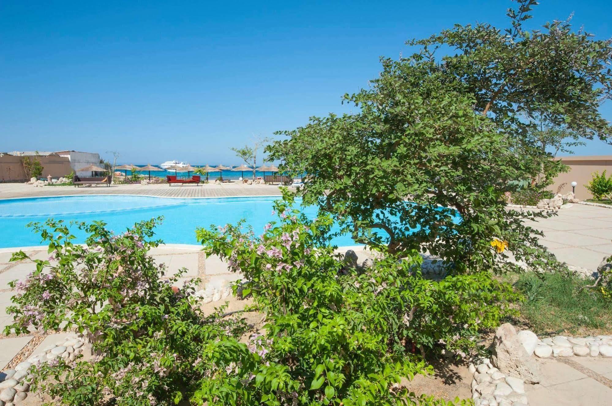 Navy Chalets Dağ evi *