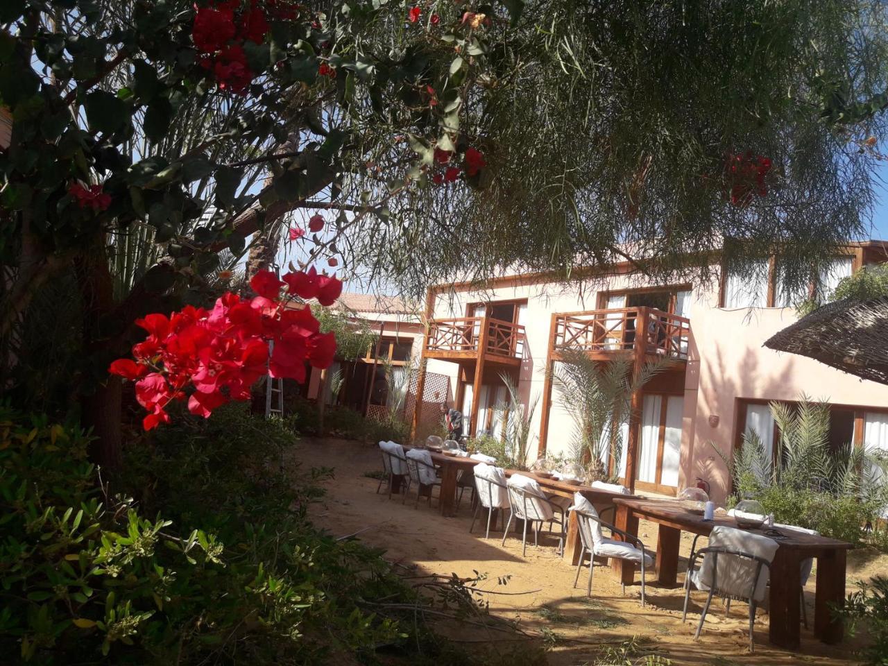 Inn Nakhil Nuweiba